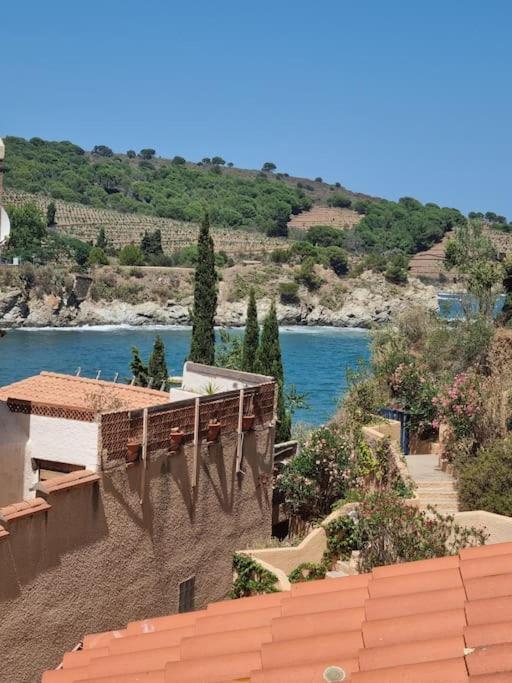 Studio Acces Direct A La Plage Banyuls-sur-Mer Exterior foto